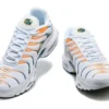 AIR MAX PLUS TN ‘HIKING CARABINE WHITE KUMQUAT MARINA’